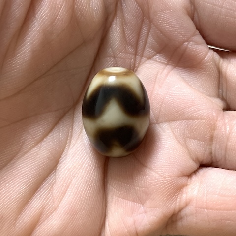 Tasso Dalo Dzi Bead